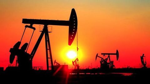 OPEK prognozidan keyin neft narxlari keskin tushib ketdi