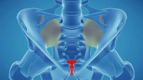 Исломдаги яна бир мўъжиза тасдиқланди