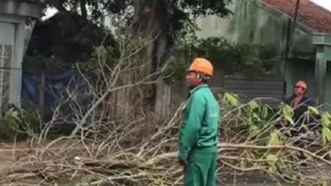 Вьетнамда тўфон сабабли 500 минг киши эвакуация қилинди