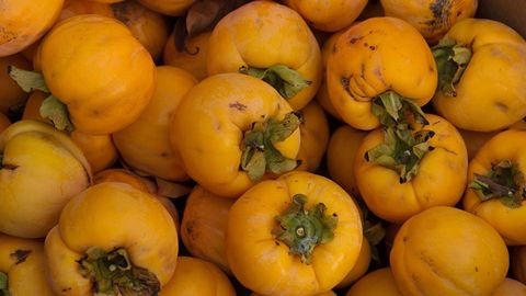 Челябинскка ўзбек хурмоси ортилган 10 та фура киритилмади