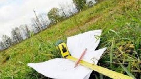 Buxoroda yer uchastkasi olib berish bahonasida opasini 27 ming dollarga tushirgan uka qo‘lga olindi