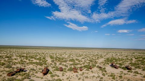 BMT shafeligida Orolbo‘yi muammolarini hal qilishda muvofiqlashtirilgan yondashuvni ta’minlash bo‘yicha jamg‘arma tashkil etilmoqda