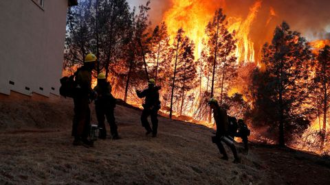 Kaliforniyadagi o‘rmon yong‘inlarida 29 kishi halok bo‘ldi, 228 kishi bedarak yo‘qoldi