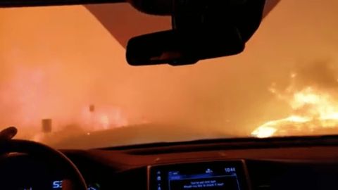 Kaliforniyalik oila avtomobilda o‘rmon yong‘inlari ichidan yurib o‘tdi (video)