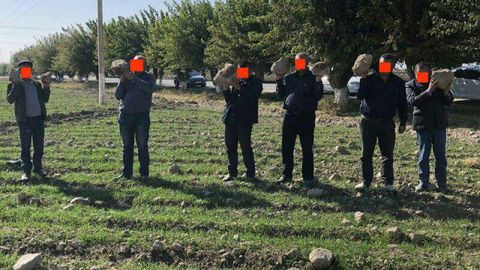 Bekobodda kesak ko‘targanlardan biri ishdan ketdi, qolganlar OAV nigohidan panada