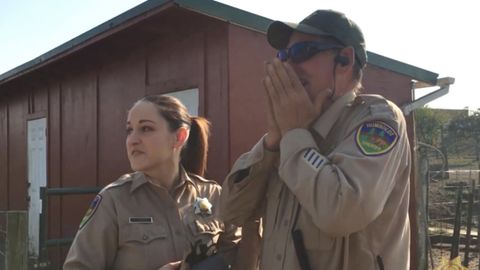 АҚШда дальтоник полициячига ҳамкасблари махсус кўзойнак совға қилди. У умрида биринчи марта ҳақиқий рангларни кўрди (видео)