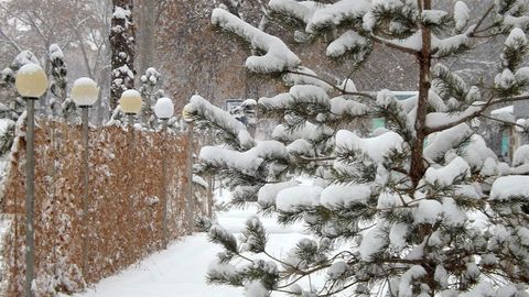 O‘zgidromet: O‘zbekistonda bu yil qish mavsumida o‘rtacha harorat kuzatiladi