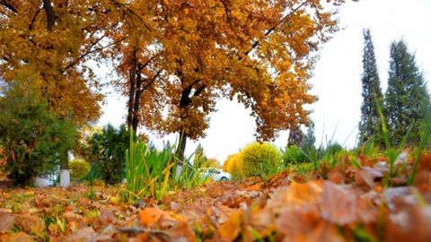 15 ноябрдан Ўзбекистонда ҳаво илиқлашади