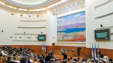 Senatorlar Tashqi ishlar vazirligi faoliyatidagi muammo va kamchiliklarni muhokama qildi