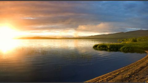 Doimiy yorug‘lik ostida yashash semirishga olib kelishi aniqlandi