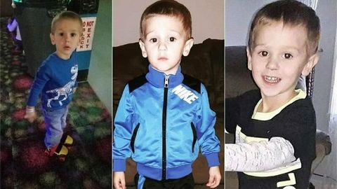 Ўрмонда йўқолиб қолган америкалик бола айиқ туфайли омон қолганини айтди