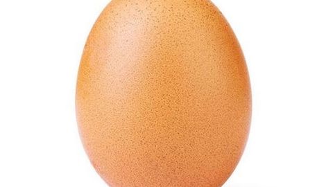 Тухум сурати Instagram’даги жаҳон рекордини янгилади