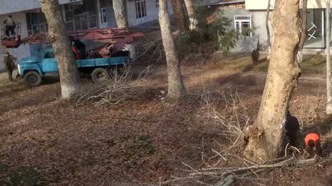 “Kesmoqchi emas, shunchaki butab qo‘ymoqchi edik”