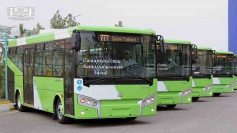 Тошкент автобус паркларига кондиционер ва аппарелли янги автобуслар келтирилди