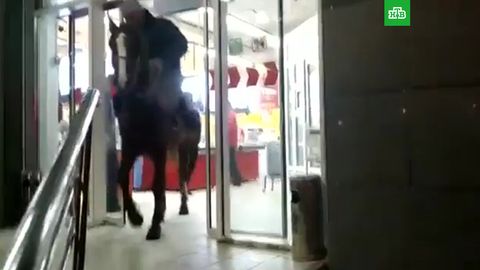 Qirg‘izistonda mast erkak otda supermarketga kirib bordi (video)