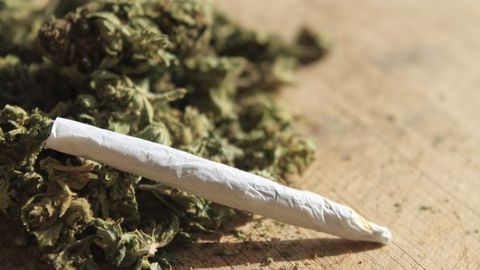 Тошкент вилоятида 2 килограммдан ортиқ марихуана олиб кетаётган шахс қўлга олинди