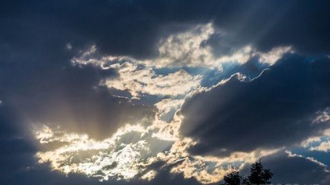 10 январь куни Ўзбекистоннинг айрим жойларида ёмғир ёғиши мумкин