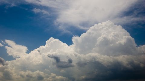 17-yanvar kuni O‘zbekistonda havo 20 darajagacha iliq bo‘lishi kutilmoqda