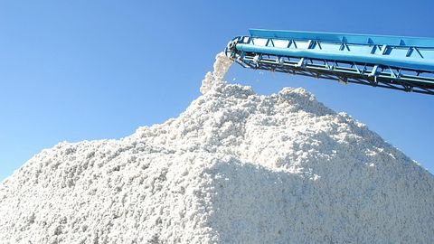 Cotton Campaign to‘qimachilik mahsulotlariga qarshi “boykot”ni bekor qilish bo‘yicha rejasini taqdim etdi