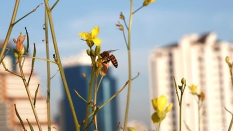 Global ekologik falokat bo‘lishi bashorat qilindi
