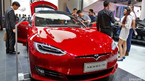 Tesla электромобилларида итлар учун мўлжалланган функция пайдо бўлди