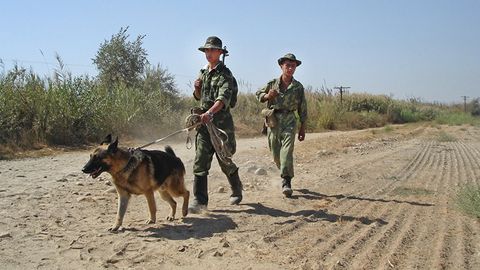 Tojikiston Panj daryosi ustidagi ko‘prik orqali Afg‘onistonga o‘tadigan yo‘lni ochdi