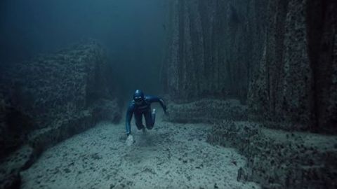 Dayver chiroyli suv osti kadrlari bilan internet tarmog‘ini zabt etdi (video)