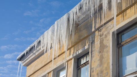 Санкт-Петербургдаги олийгоҳда ўзбекистонлик талаба томдан муз бўлаги тушиши оқибатида вафот этди