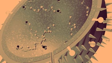 CRISPR одамда ОИТС ва гриппга қарши иммунитет яратади