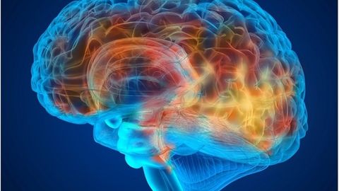 Surunkali yallig‘lanish odamning fikrlashiga salbiy ta’sir ko‘rsatishi aniqlandi