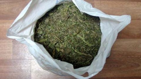 ДХХ Тошкент, Қашқадарё ва Фарғона вилоятларида гиёҳванд моддалар савдосига чек қўйди