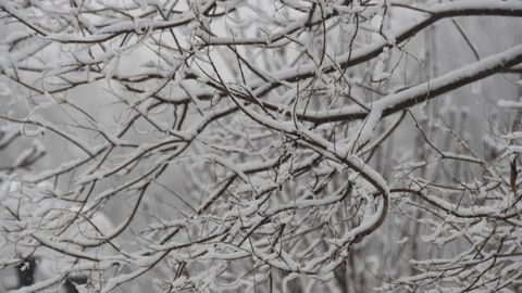 21 февраль куни Ўзбекистонда қандай об-ҳаво кутилмоқда?