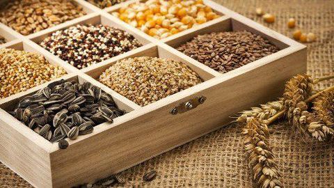 Ўзбекистонда уруғчилик тўғрисидаги қонун қабул қилинди