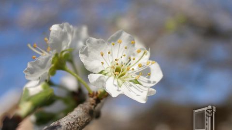 20 март куни Ўзбекистонда қандай об-ҳаво кутилмоқда?