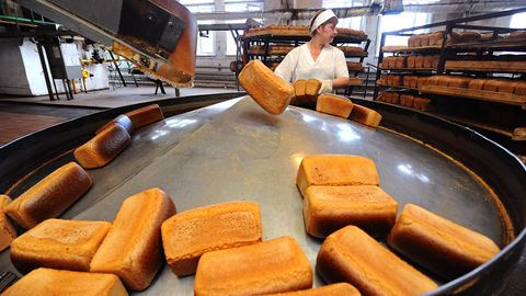 Olimlar non tarkibidagi mog‘orlashga qarshi qo‘shimchaning zararidan ogohlantirdi