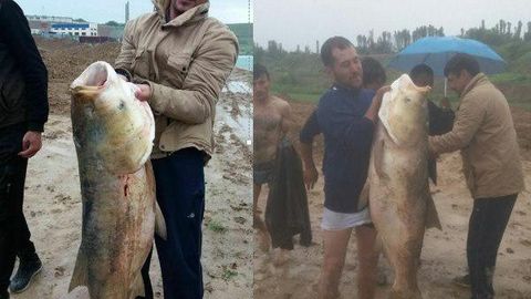Shavkat Mirziyoyevning Xitoydagi uchrashuvlari, Tuyabo‘g‘izda tutilgan bahaybat baliq, Qashqadaryoda vertolyotda kasalxonaga yetkazilgan fuqaro va kunning boshqa xabarlari