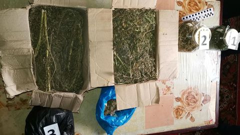 Qo‘shtepadagi xonadondan 1 kgdan ortiq marixuana topildi