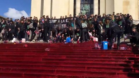 Экологик ҳаракат фаоллари Париж марказида 300 литр қонни тўкиб юборди (видео)