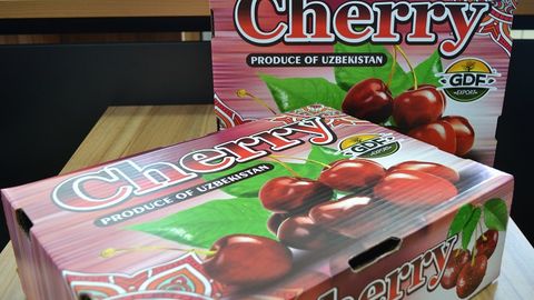 O‘zbekiston gilosi birinchi marta London bozorlarida sotilmoqda