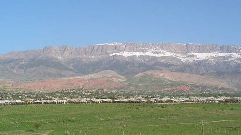 Sog‘liqni saqlash vazirligi Surxondaryoda homilador ayol vafot etishi bilan bog‘liq vaziyatga oydinlik kiritdi
