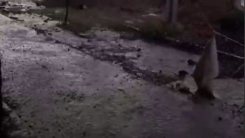 Samarqandda kuchli yomg‘ir va do‘l yog‘moqda (video)