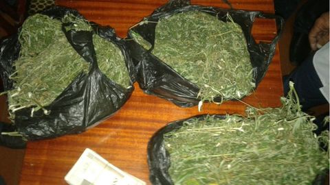 Qashqadaryoda ko‘knor yetishtirgan ota-bola qo‘lga olindi