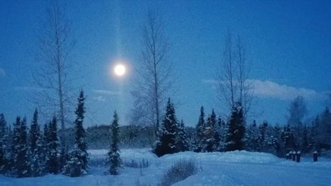 Alyaskadagi samolyot halokatida 3 kishi vafot etdi