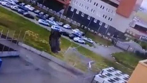 Omskda avtomobil ikkitalik saltoni amalga oshirgan video paydo bo‘ldi