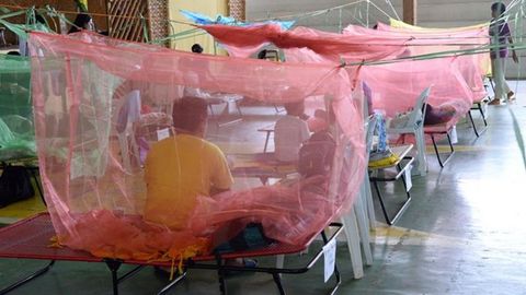 Filippinda Denge bezgagi qurbonlari soni 800 kishidan oshdi