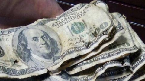 Қандай банкноталарни айирбошлаш шохобчаси қабул қилмайди?