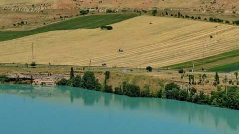 O‘zbekistonda auksion g‘olibiga yer berish uchun hokim qarori talab etilmaydigan bo‘ldi