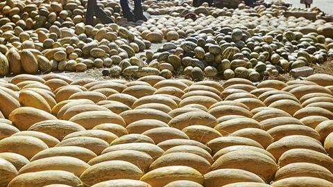 Ҳафта ижтимоий муаммолари: Ширин қовунлар мамлакати