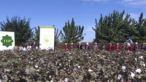 Turkmaniston paxtakorlariga prezidentning o‘g‘li hokimlik qiladigan viloyatga xirmonni birinchi bo‘lib ko‘tarishda yordam berish buyurildi