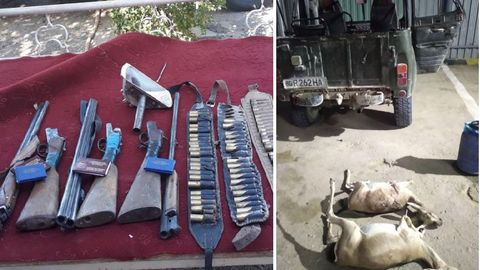 Buxoroda brakonerlar 2 bosh jayronni otib o‘ldirdi